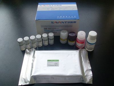 糖类抗原19-9(CA19-9)定量测定试剂盒(化学发光免疫分析法)